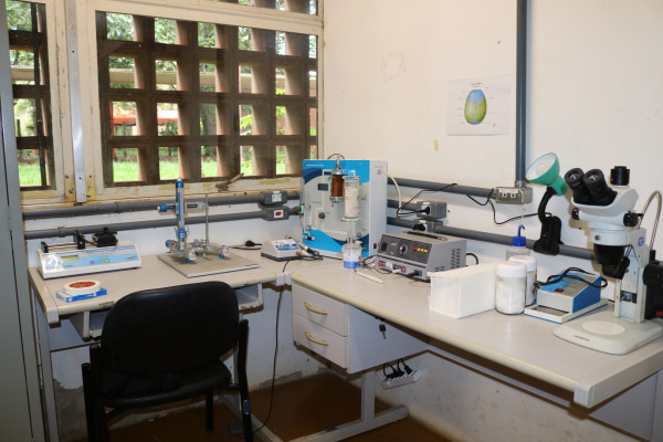 Sala de cirurgia.JPG